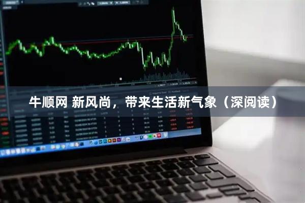牛顺网 新风尚，带来生活新气象（深阅读）
